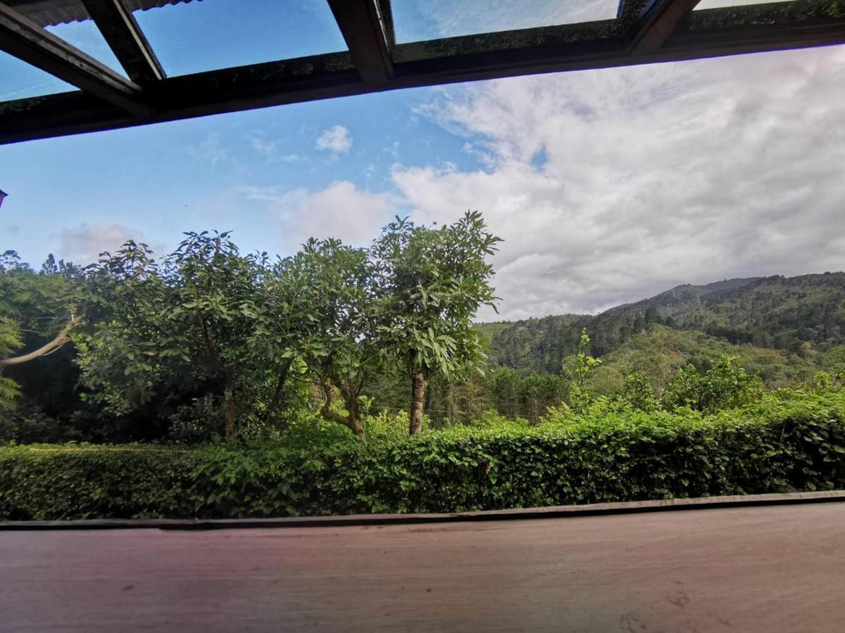 Cabana Hamacas Cartago Dış mekan fotoğraf