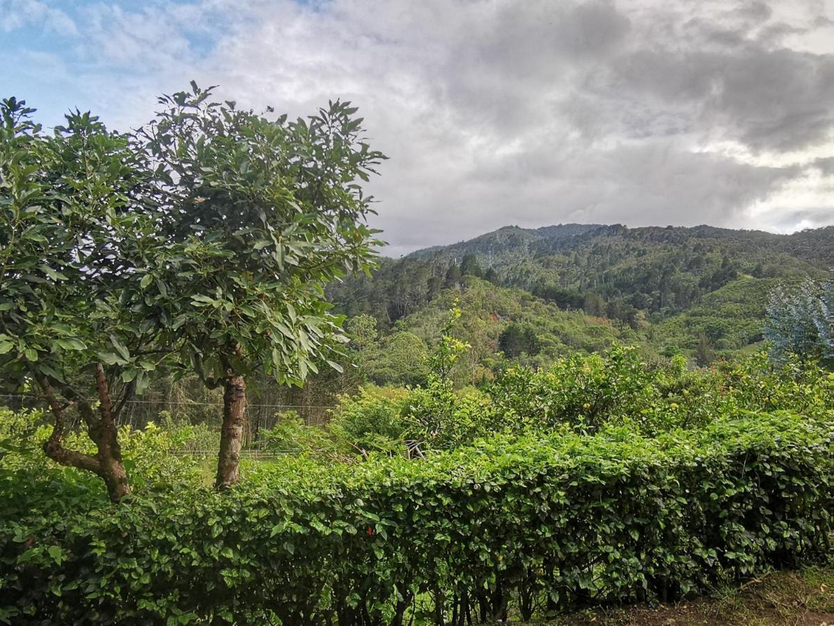 Cabana Hamacas Cartago Dış mekan fotoğraf